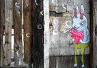 fotze | rabbit | mexico (41 votes)