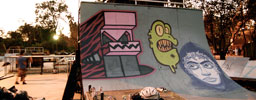 fueel | frog | lait | skate | mexico (35 votes)