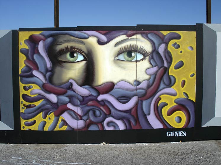 henes | nayarit | mexico