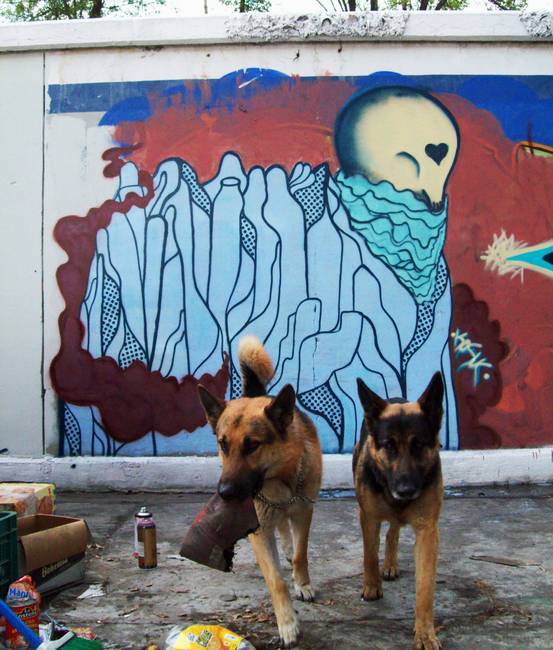kosuc | dog | mexico