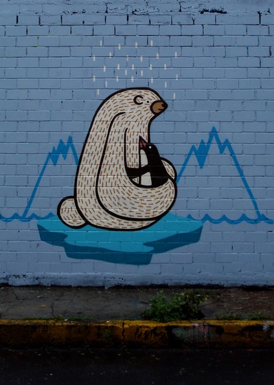 news | bear | mexico