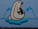 news | bear | mexico (5 votes)