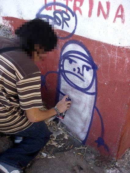 saner | dsr | action | mexico