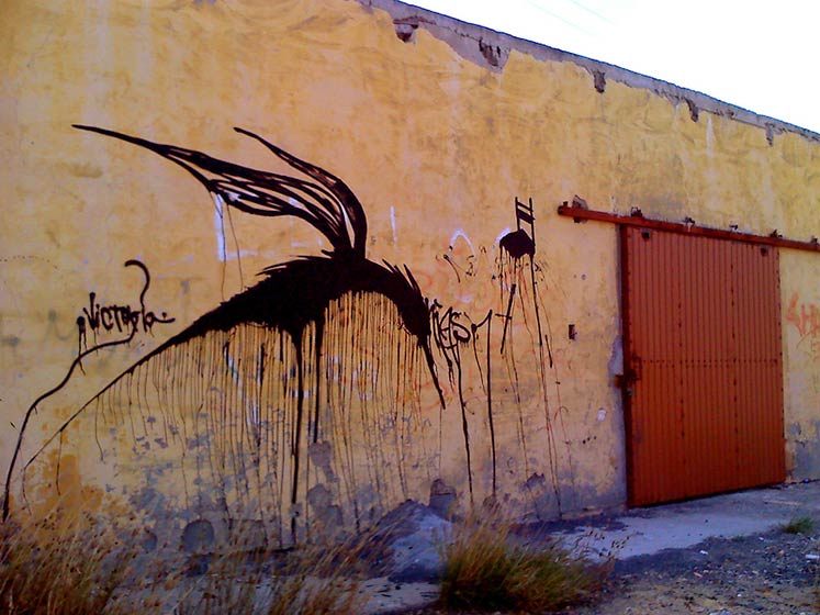 screw | mexico