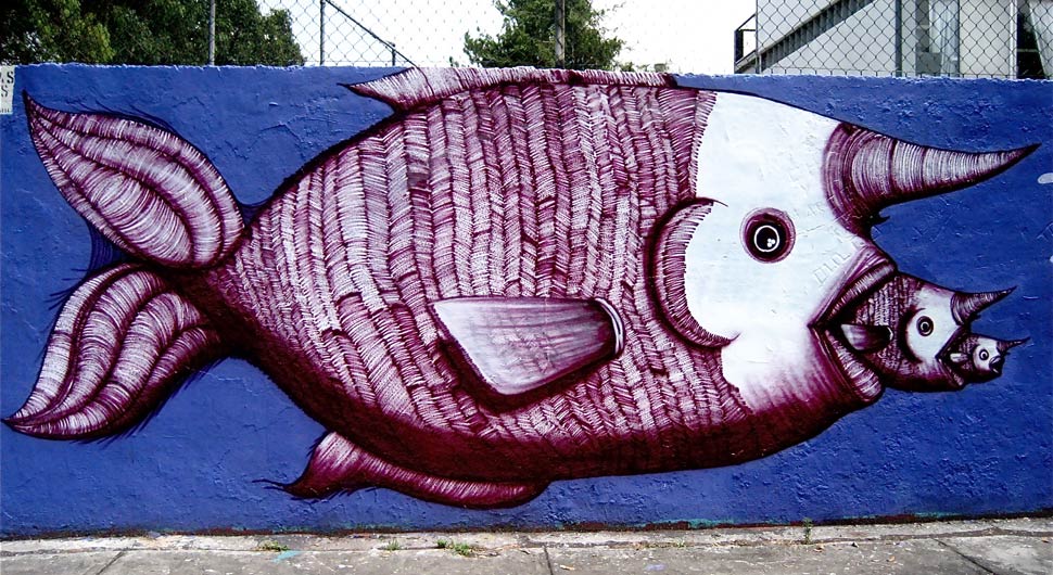sego | fish | mexico