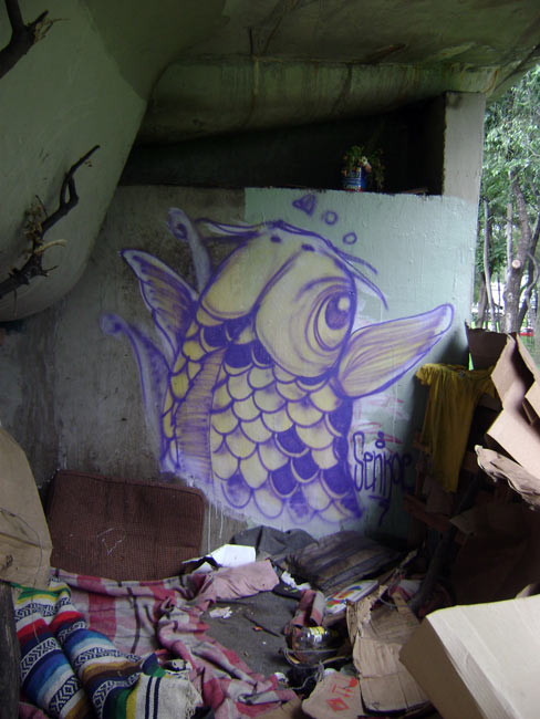 senkoe | fish | mexico