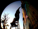 stinkfish | oaxaca | process | mexico (11 votes)