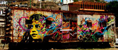 stinkfish | oaxaca | trashtrain | mexico (23 votes)