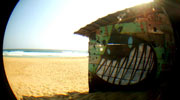 stinkfish | zipolite | beach | mexico (17 votes)