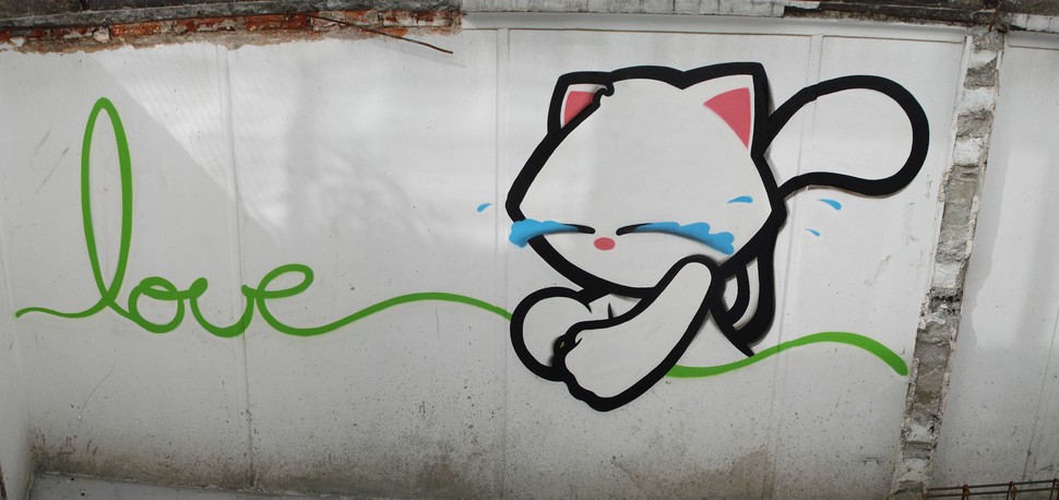 stnk | cat | mexico