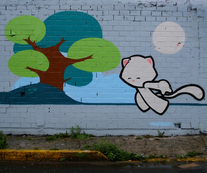 stnk | cat | mexico
