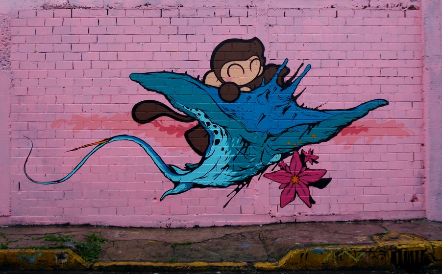 stnk | seher | mexico