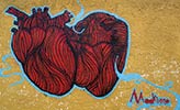 mookiena | dsr | red | mexico (17 votes)