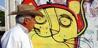 romanse | cat | mexico (4 votes)