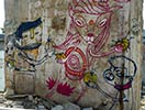 saner | mookiena | dsr | mexico (10 votes)