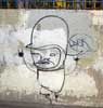 saner | dsr | mexico