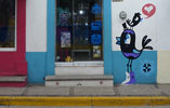 bue | bird | mexico (24 votes)