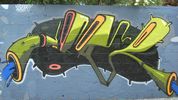 dhear | mexico (27 votes)