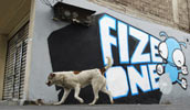 fize | stnk | dog | mexico (17 votes)