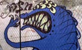 fresh-fish | blue | mexico (8 votes)