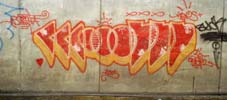 haos | mexico (9 votes)