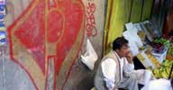 haos | mexico (8 votes)