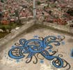 haos | mexico (11 votes)