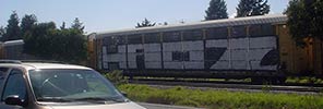 haos | freight | mexico (41 votes)