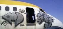 haos | simer | mexico | plane (23 votes)