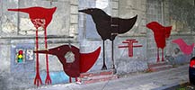 losdelaefe | bird | mexico (13 votes)