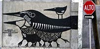 losdelaefe | bird | mexico (21 votes)