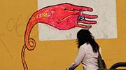 mecamutanterio | mexico (20 votes)