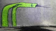 renal | green | mexico (2 votes)
