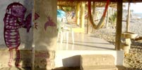 saner | mookiena | dsr | beach | mexico (13 votes)
