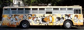 saner | mookiena | dsr | bus | mexico (21 votes)