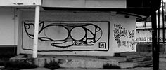 screw | whale | mexico (13 votes)