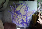 senkoe | fish | mexico (15 votes)