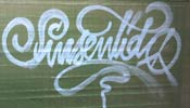 sinsentir | tags | mexico (13 votes)