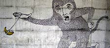 smithe | monkey | mexico (36 votes)