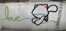 stnk | cat | mexico (29 votes)