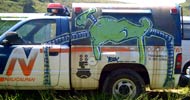 yeox | poesiavisual | police | car | mexico (41 votes)
