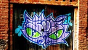 zubler | comando-espacial | cat | mexico (16 votes)