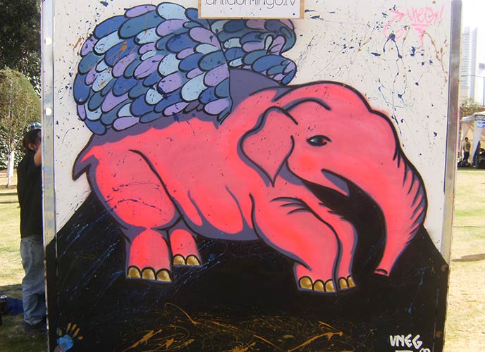 uneg | elephant | mexico