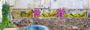 rowdy | tek33 | crocodile | montpellier (25 votes)