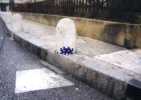 spaceinvader | montpellier (2 votes)