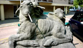 elfo | 3-d | cigarette | sheep | eindhoven | netherlands (63 votes)