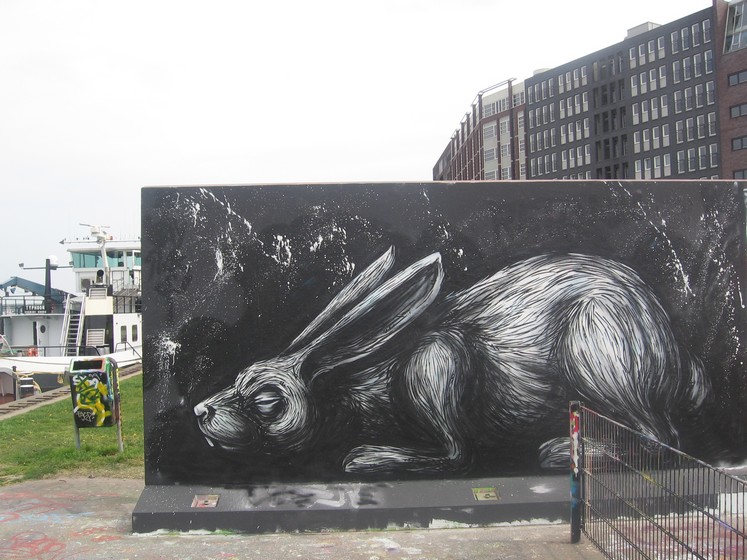 roa | rabbit | amsterdam | netherlands