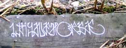 waynehorse | tags | netherlands (5 votes)