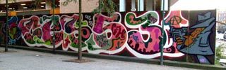 ces53 | netherlands (23 votes)