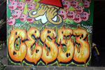 ces53 | woerden | netherlands (34 votes)
